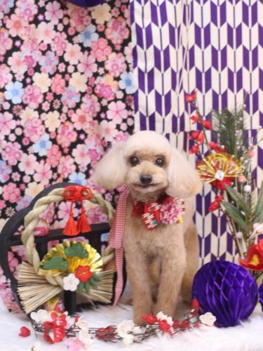 20250117うたちゃん